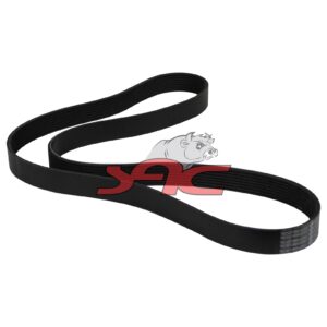 CA6DM3-50 FAN V-RIBBED BELT