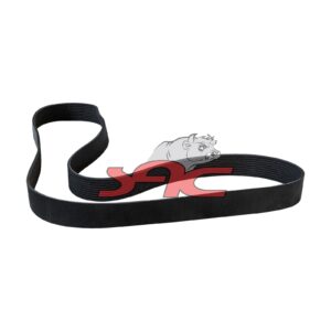 FAN V-RIBBED BELT