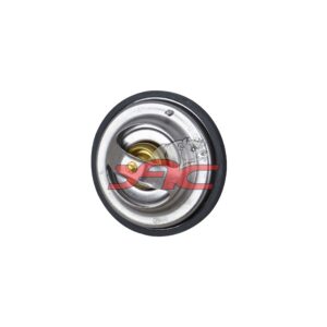 BF6M2012-22E3 THERMOSTAT
