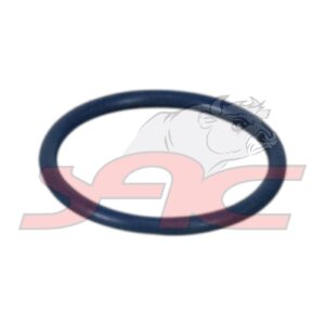 THERMOSTAT HOUSING O-RING