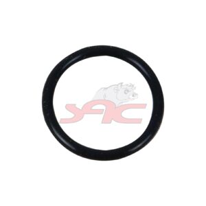 CYLINDER HEAD O-RING