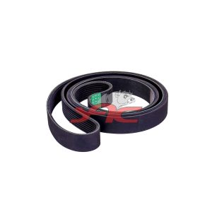 FAN V-RIBBED BELT